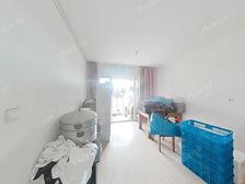 高铁新城·观天下花苑·3室·2厅