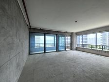 保真 江北嘴大平层 业主急卖 263万
