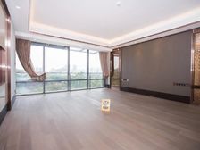 新天鹅堡346平 临湖大平面 客厅开间6米2 带L型大阳台