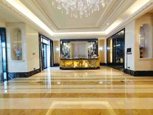 星河湾半岛 房龄新 豪华设计 电梯房 南向采光好 产权清晰