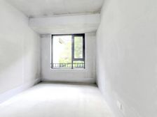 红光天立旁 一楼套四双卫 单价1万多 高品质