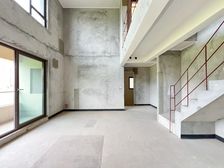 龙湖上叠电梯别墅 前后通透 多个露台 纯别墅小区