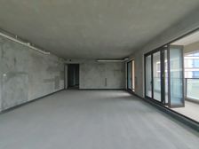 地铁站 一梯一户 洋房 金科九曲河东区大平层 五房