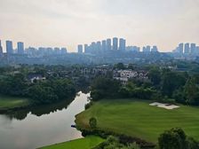 买双拼别墅必看逸翠庄园 花园400平 临河靠山 送6车位