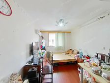 浦东世博近长清路 低总价非顶楼双南两房 房东诚意出售