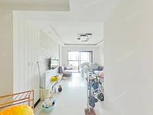 元和活力岛 金辉融侨城 双轻轨口 繁花万达天虹湿地公园图书馆