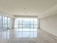 两江交汇全景 高区亏本出 来福士广场 收藏豪宅