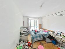 浦东三林·浦发绿城-全明户型1室1厅 动迁房 近11号线城售