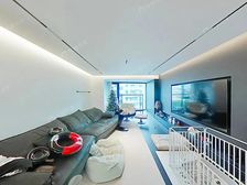 百万装修!张江镇商品房 全屋智能 拎包入住 电梯中高层