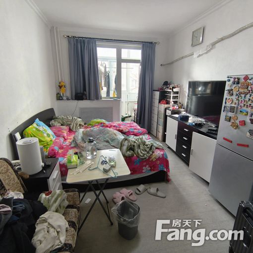 整租·团结湖·团结湖北头条·1室·1厅