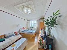 国贸CBD 呼家楼 人民日报社 小庄社区低总价两居 明厨明卫