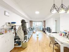 精装修,保养很好,随时可以看