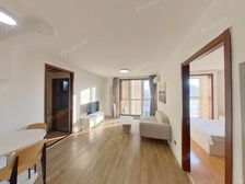 青年汇佳园1室1厅南