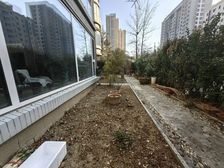 市中心 东风街 一楼带南开门院子 220平 5室 精装修