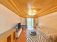 中层 商品房 经典之作 2号线300米