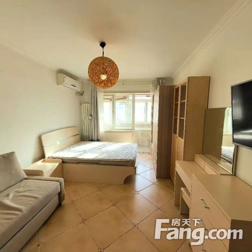 团结湖 妇产医院 东三环 精装朝南 一居出租 随时看房