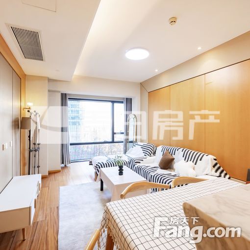 国锐金嵿1室1厅精装修