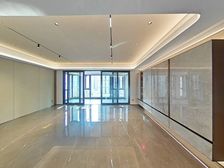 豪装大三居 东部明湖板块 东部豪宅 洋房