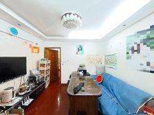 电梯房南北套绿苑淞虹路2号线长宁区-店长都说好