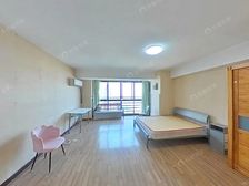 江东·辰龙广场·1室·1厅