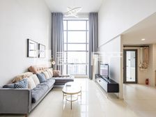 天鹅湾北区1室2厅精装修