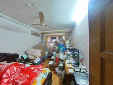 3楼南北户型,房东家里养了很多笼鸟。