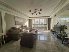 高新南次新小区,公园中的复试别墅,现代装修风格短住,喜欢就谈