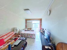 东四环 红领巾公园 地铁6号线十里堡低总价南北通透两居 诚售