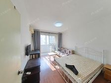 搏一搏黄浦江边全明两房 位置采光好 诚意出 钥匙看房