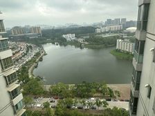 湖景房!体育馆金山公园位置,160方大三房东向,单价4字头