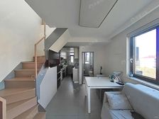 北蔡建平顶楼带阁楼精装花很多米