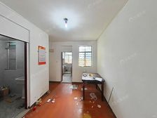 安静位置、一梯两户、双南全明、一楼带双院子、近莲花站、近力波