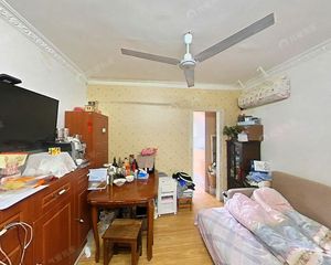 管弄新出带电梯,精装修,送家具家电。看房随时