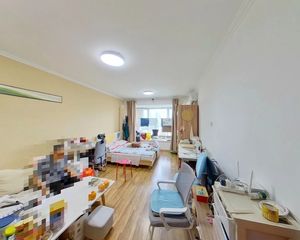 苏州桥·大河庄苑南向开间 业主诚售 其他好谈
