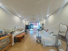 徐汇日月光 保利军工品质 东边套全明三房