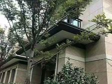 锦苑誉府联排 纯毛坯 不沿街 适用空间大 赠送面积多 送车位