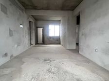 业主急售七坡林场 凤凰层