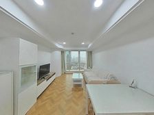 陆家嘴丨明珠B+东昌南丨70年住宅产权丨有固定车位丨税费各付