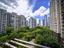 次新小区+小区环境优美+7号线地铁+真如副中心板块