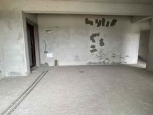 总部基地 地铁口 一线江景 楼中楼6房