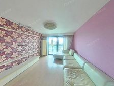 08年商品房 电梯中层 南北全明2房 板正户型 看房自住诚售