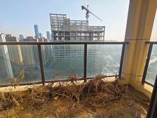 梦之岛江湾一品4房2厅116.68m2130万