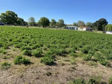 土地出售,Australia