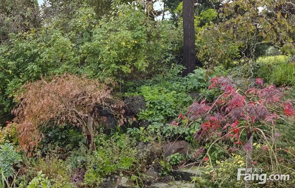 室内图