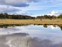 房屋出售,Australia
