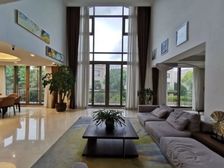 御涛园 525平5居 南向精装修