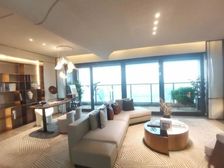 渝中半岛观江大平层户户瞰江多重景观