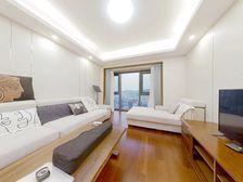 华润悦府 好位置 新小区 视野好 看电视塔