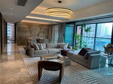 三轻轨交汇冉家坝豪装大平层丶龙湖天街旁丶来福士同一开发商