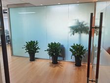 实拍真房源!亚运村!远大中心!200平米精装修带家具朝南